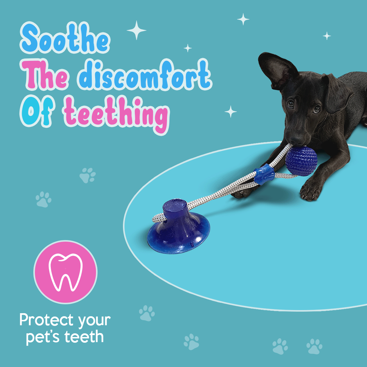 Puppy teething toy animation