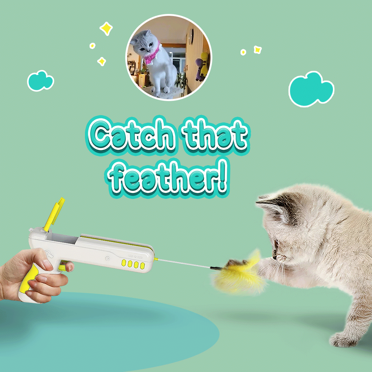 Cat playing with feather toy launcher