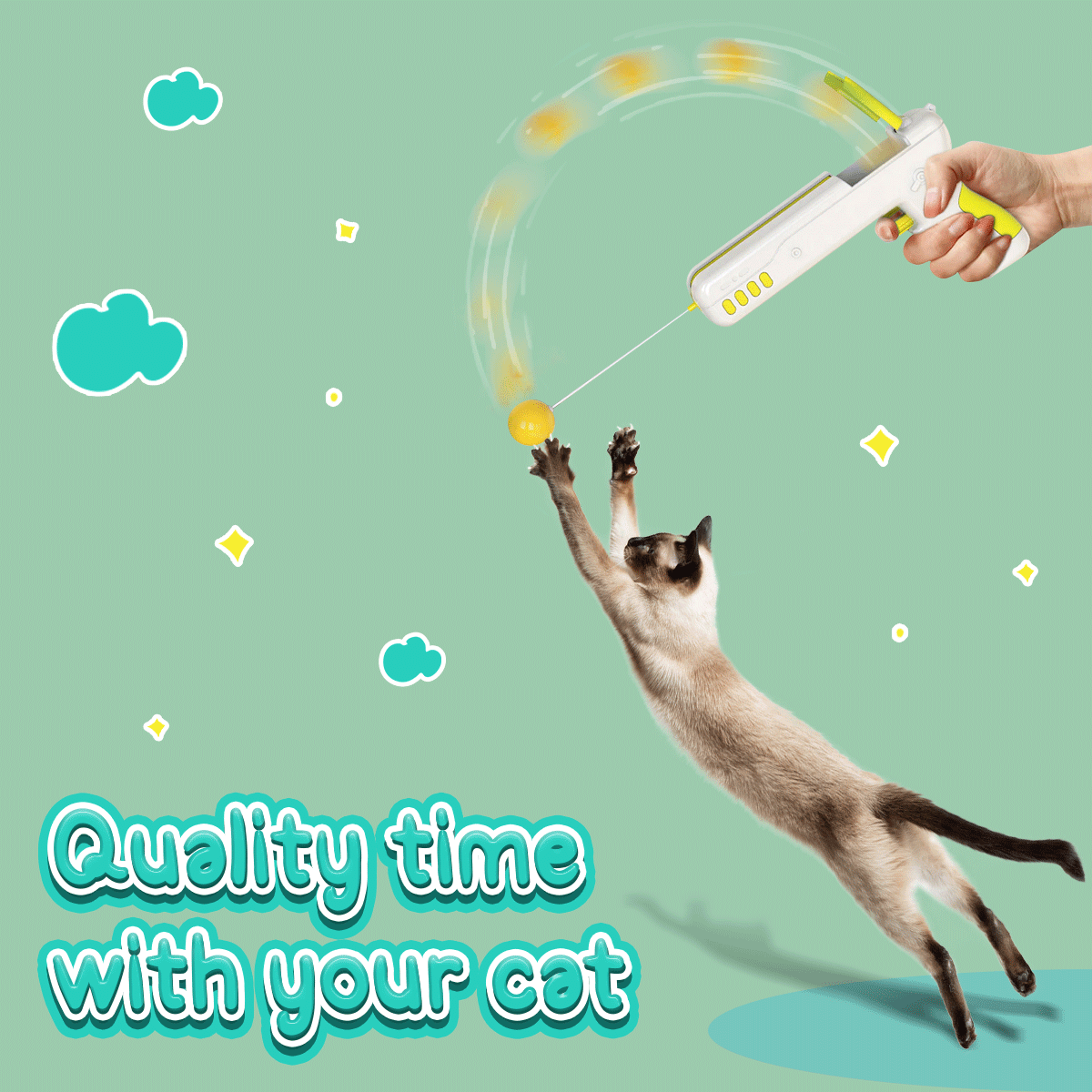Owner playing feather launcher with cat