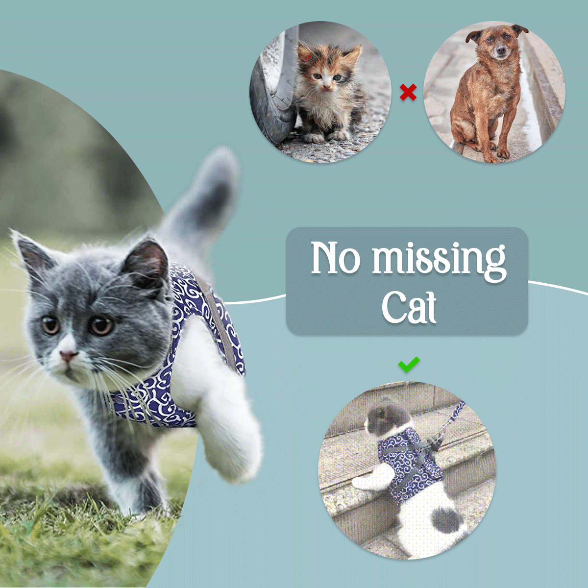 Pet running with harness