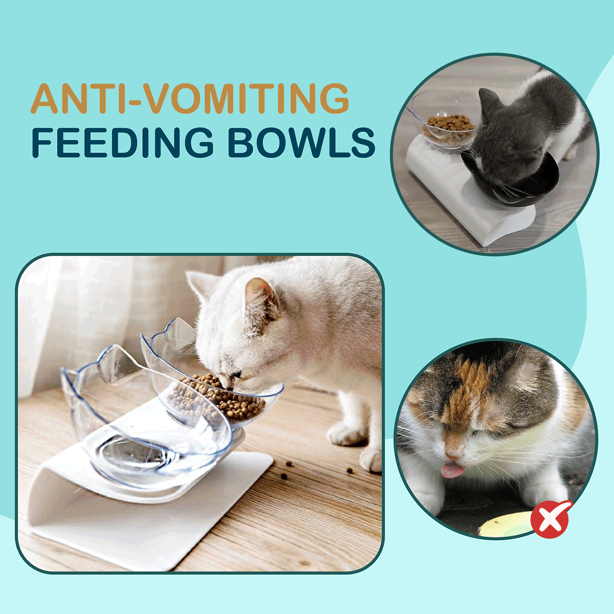 Cat Eating from Bowl
