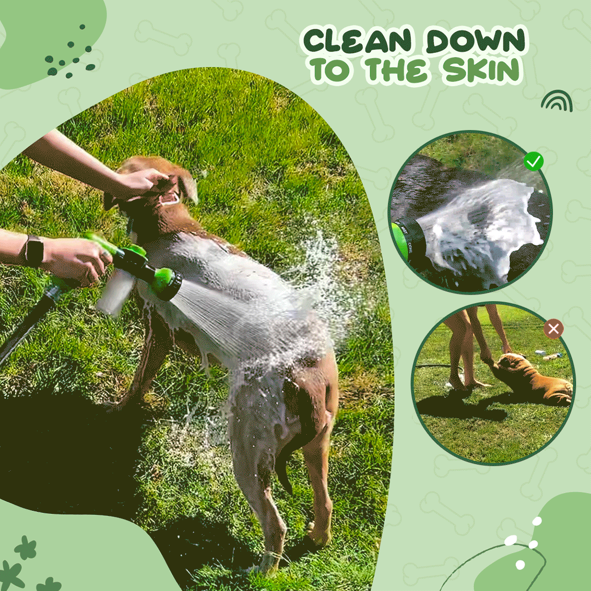Dog being bathed easily