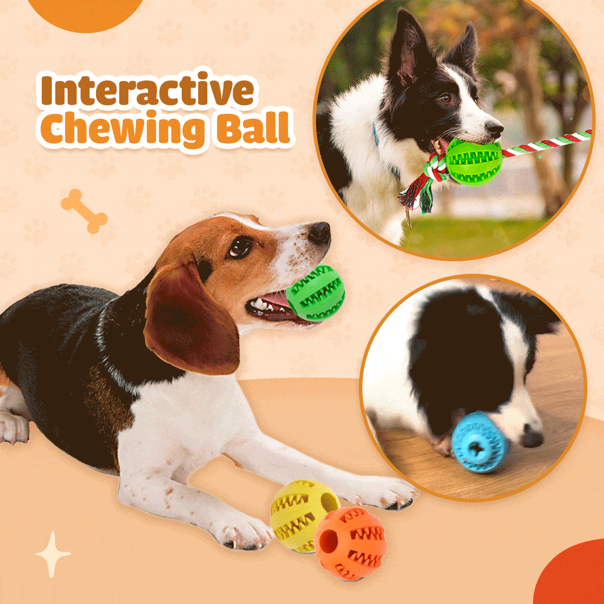Dog playing with chew toy