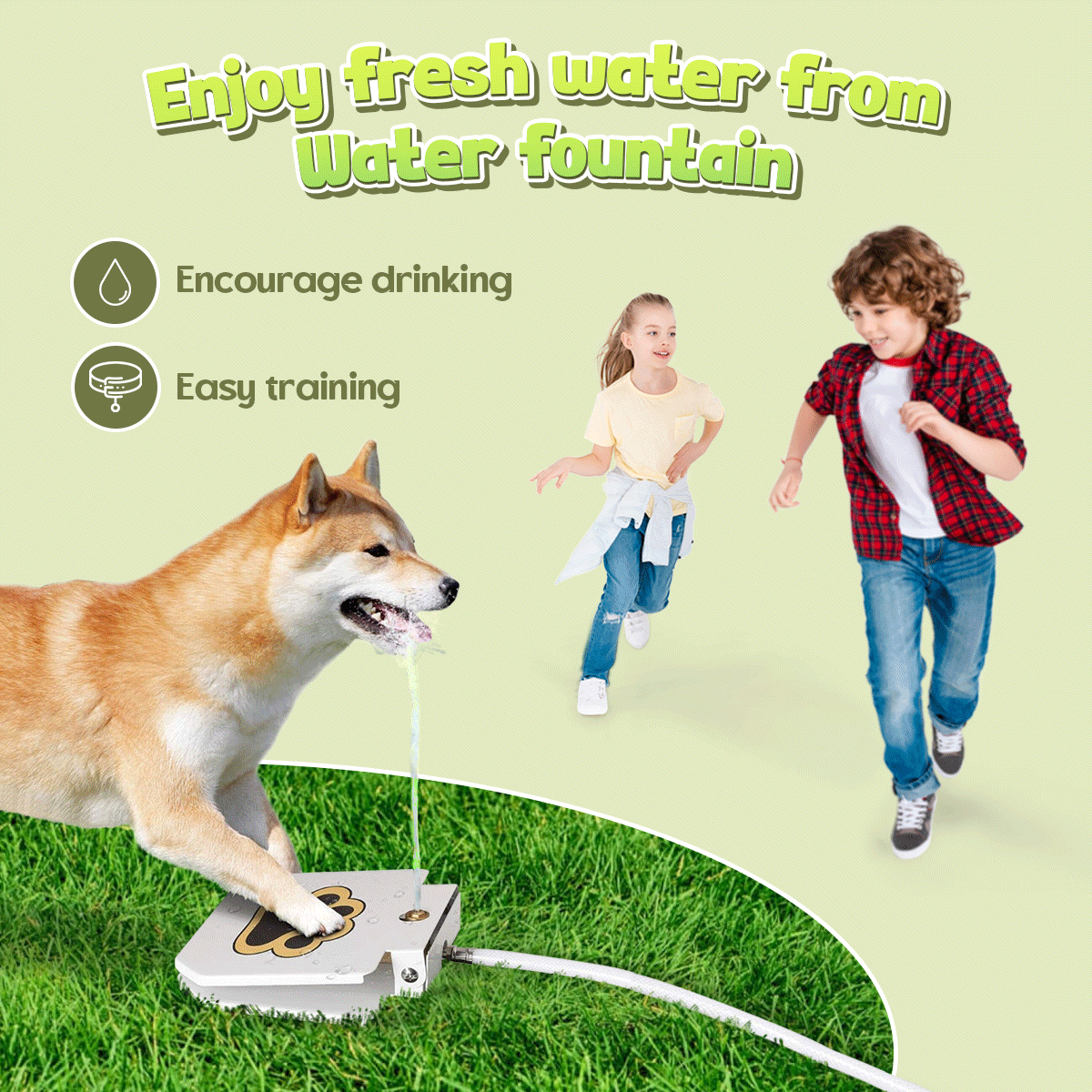 Dog playing with water fountain