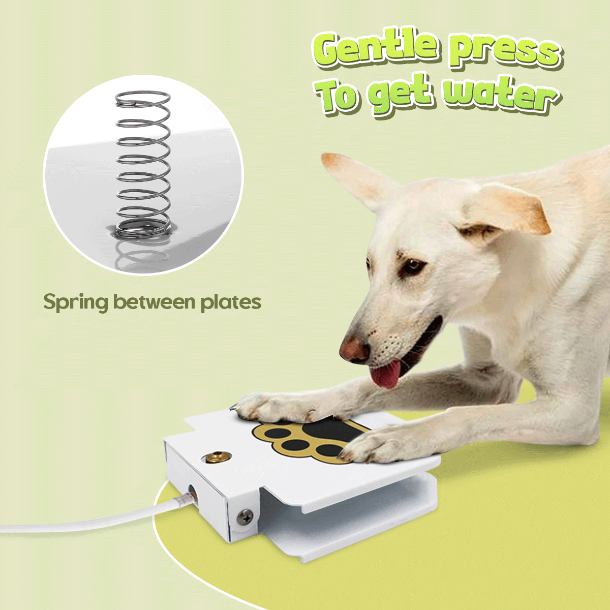 Easy to activate water fountain for dogs