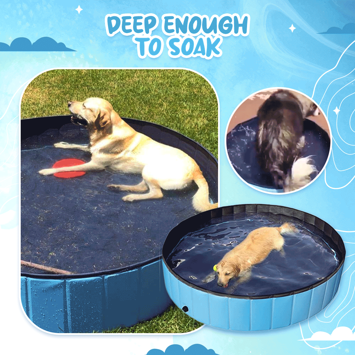 Dog cooling off in the pool
