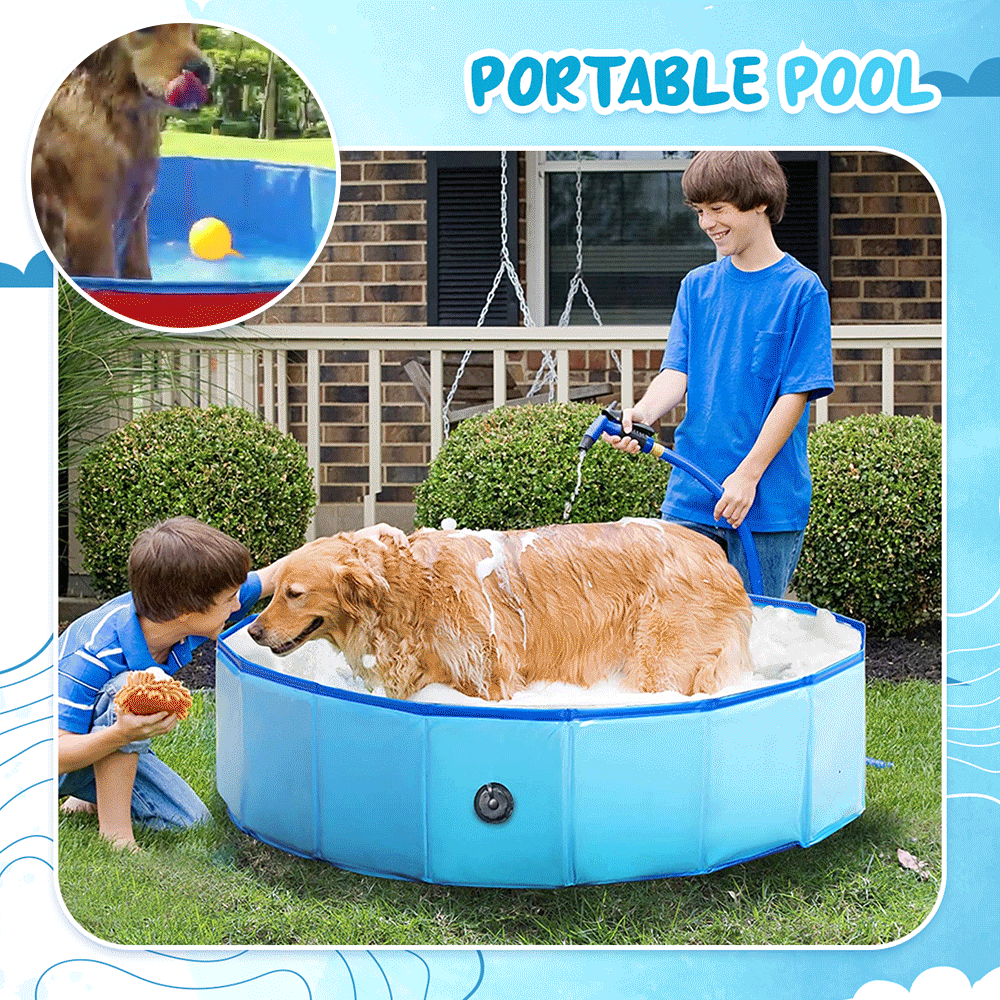 Portable foldable paw pool