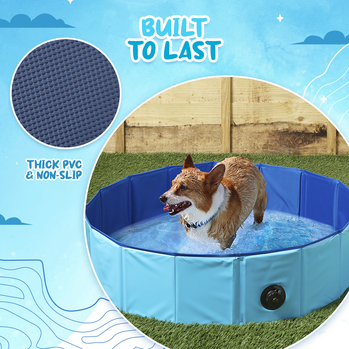 Durable Paw Pool