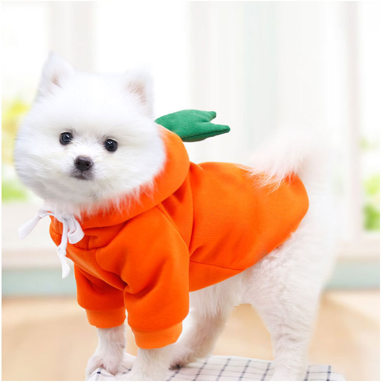Pet wearing Purrfect Pet Hoodie outdoors