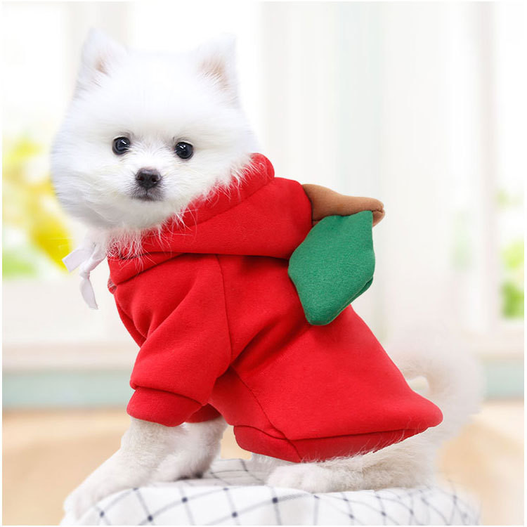 Pet hoodie in various colors