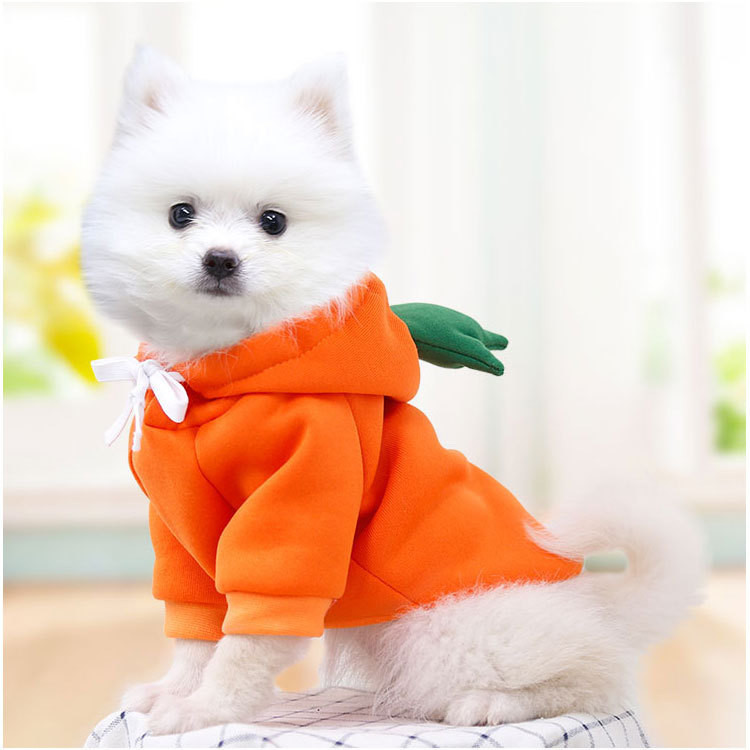 Pet hoodie hood detail