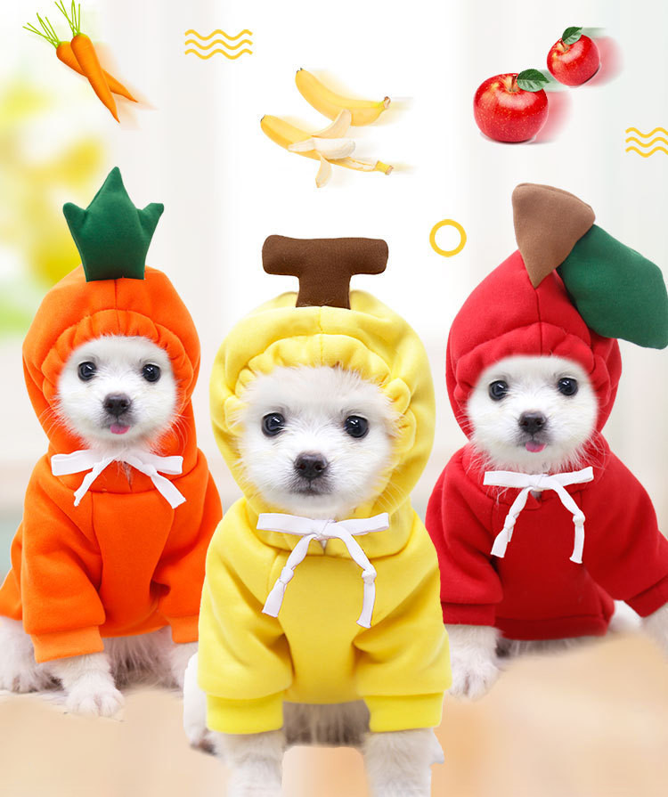 Purrfect Pet Hoodie front view