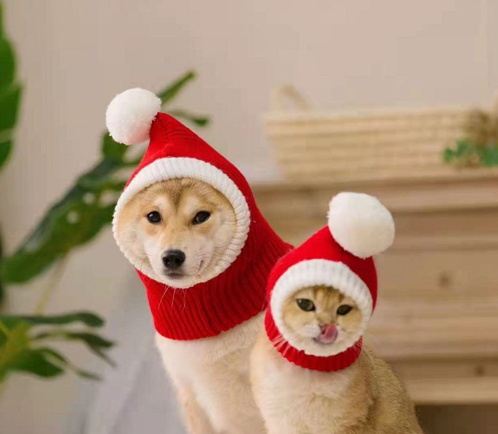 Festive Dog Hat Design