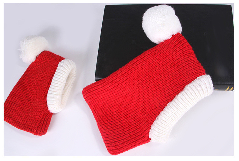 Woolen Winter Hat for Dogs