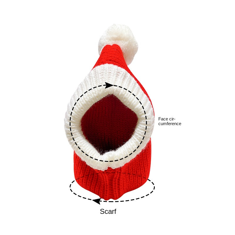 Dog in Red Woolen Hat