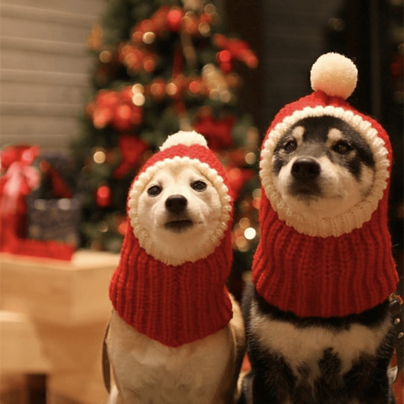 Stylish Pet Woolen Hat