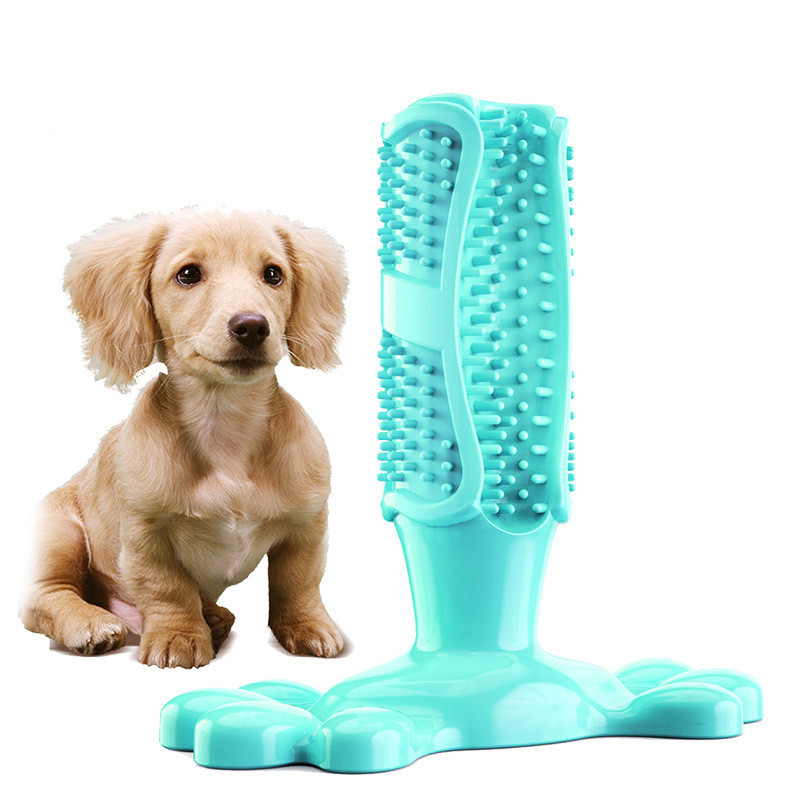 Dog Chew Toothbrush Image 3