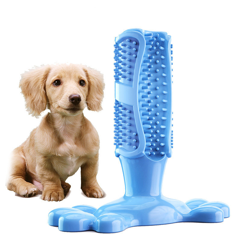 Dog Chew Toothbrush Image 1