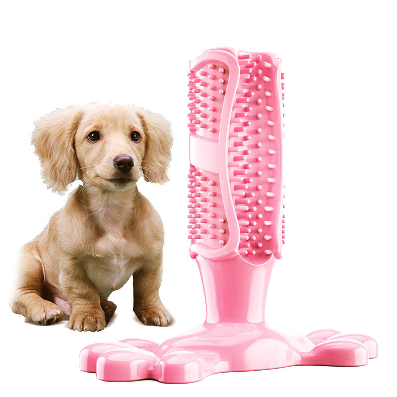 Dog Chew Toothbrush Image 2
