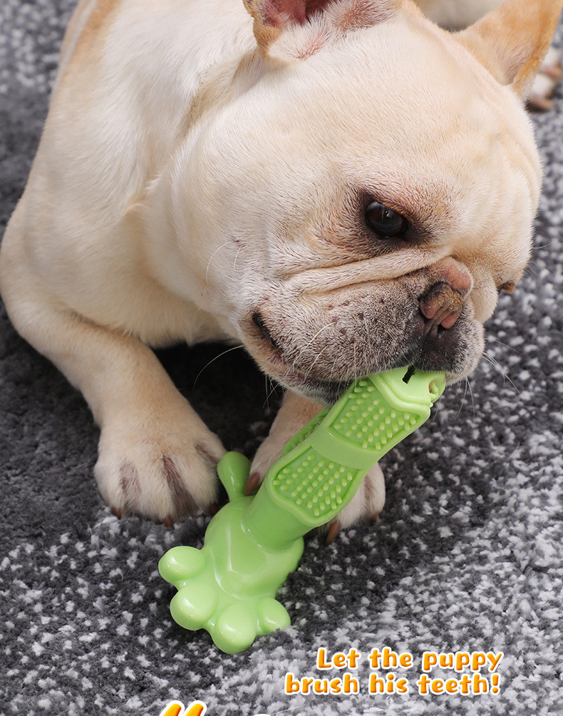 Dog Chew Toothbrush Image 5