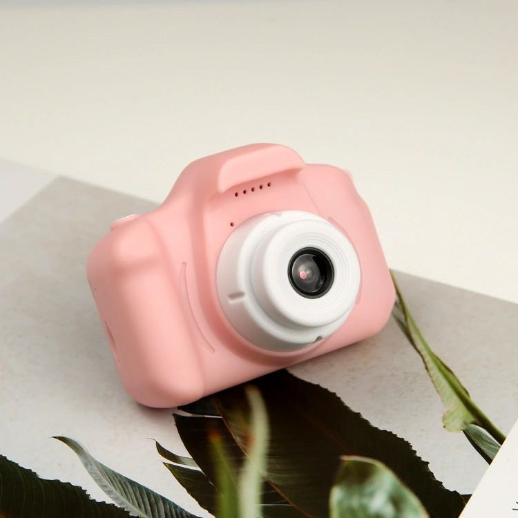 Mini Cam being used outdoors