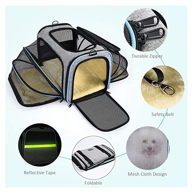 Dog Carrier Image 4