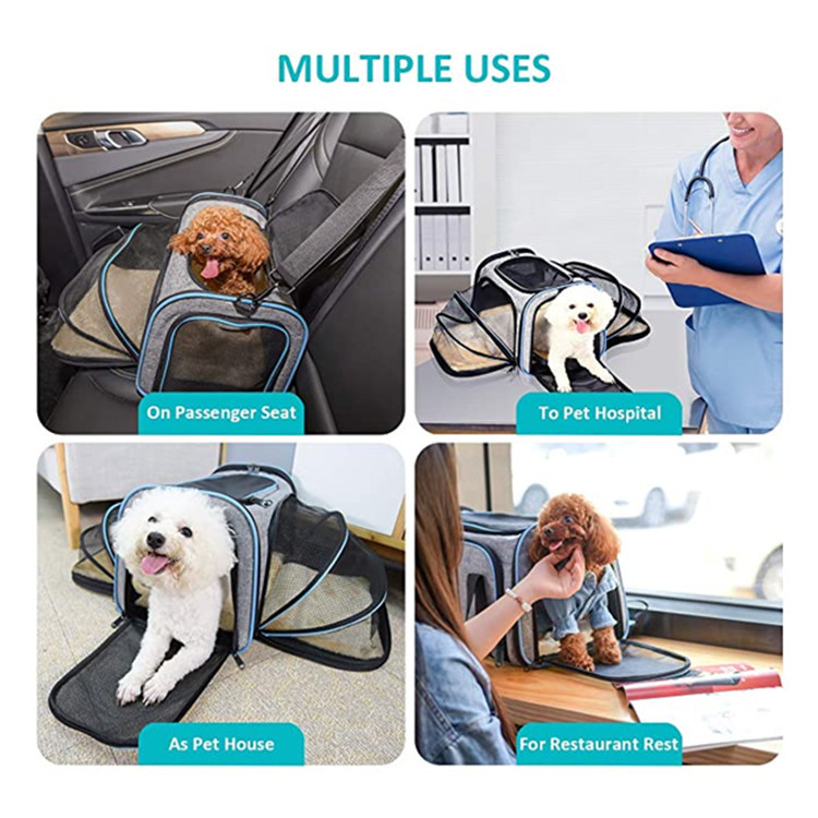 Dog Carrier Image 5