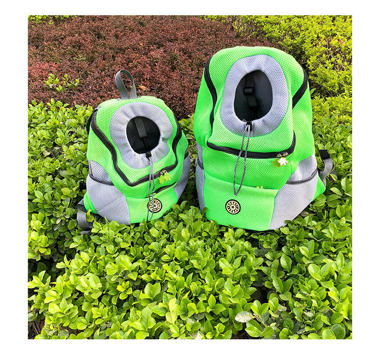 Dog inside Carrier Backpack