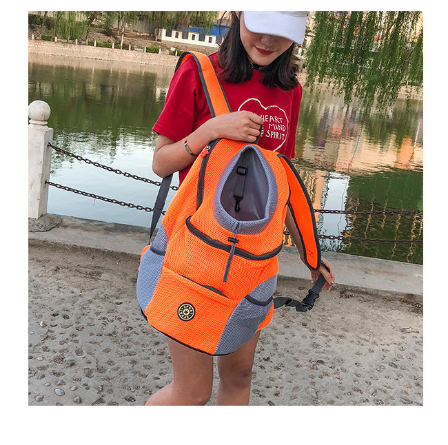 Soft Mesh Pet Carrier Backpack