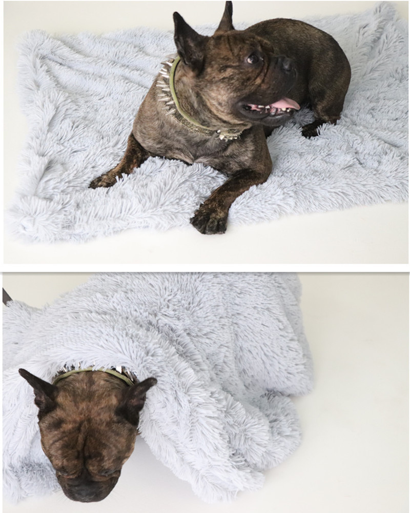 Dog Throw Blanket Image 3
