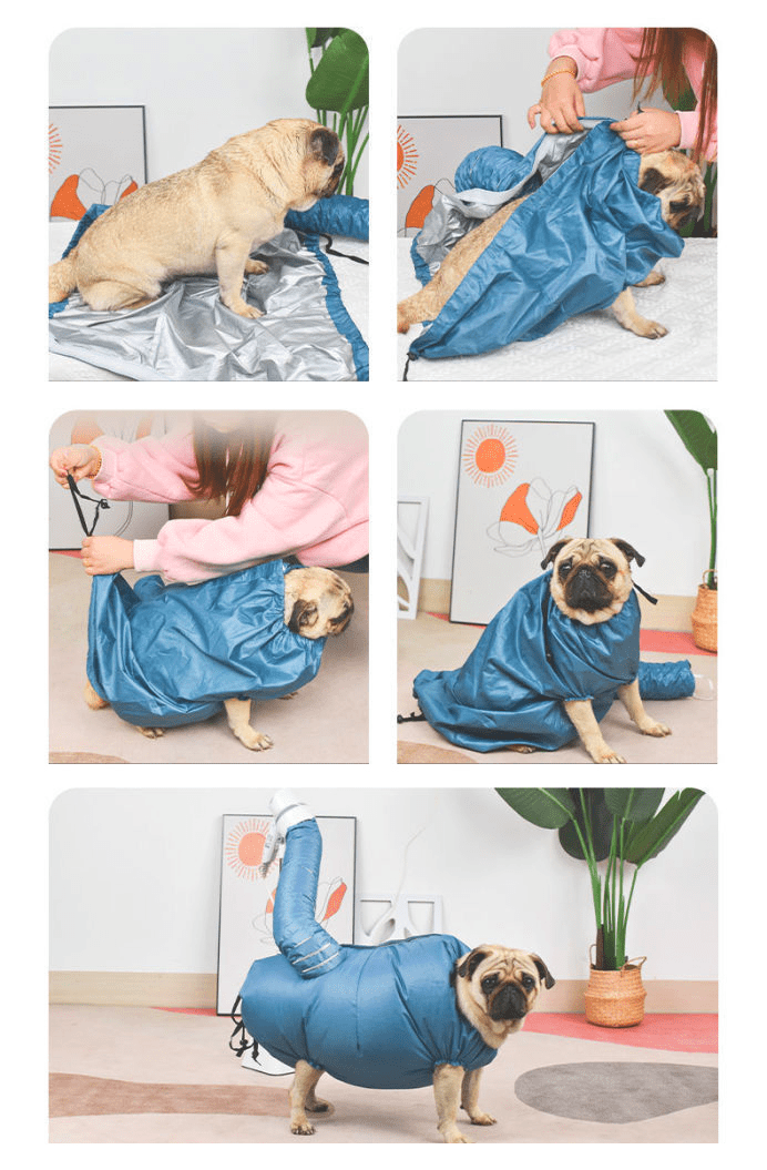 Drying Bag in Use - Pet Drying