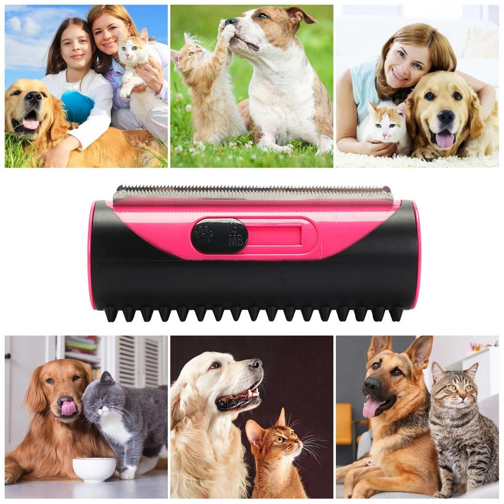 Pet Brush Image 4