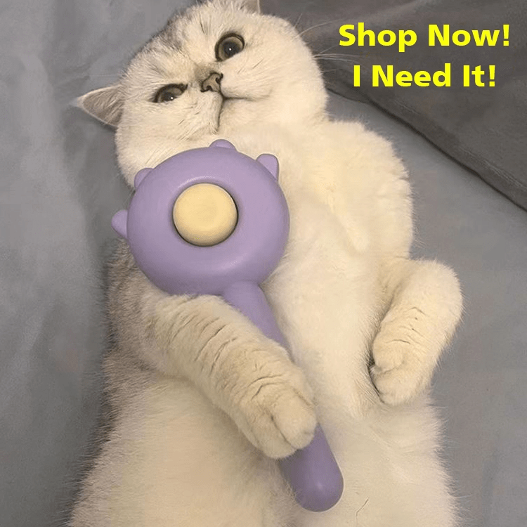 Pet Brush Handle Close-Up