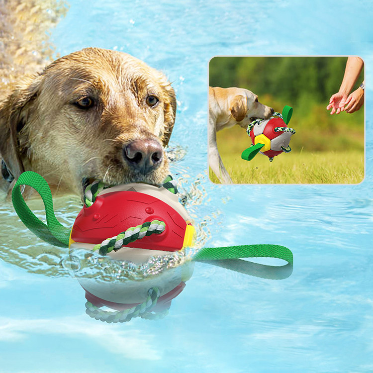 Interactive Dog Toy Ball Frisbee