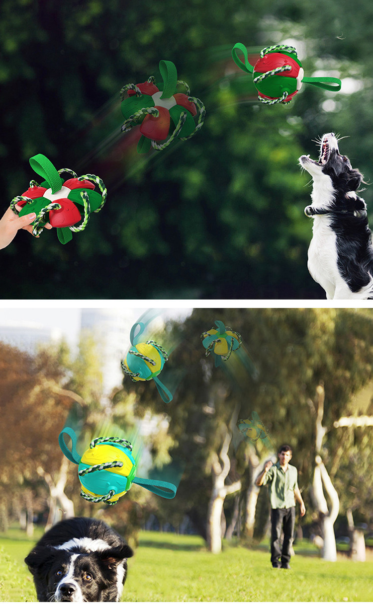 Dog Toy with Braided Rope Ends