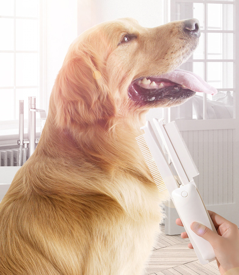 Multi-Use Pet Brush usage example