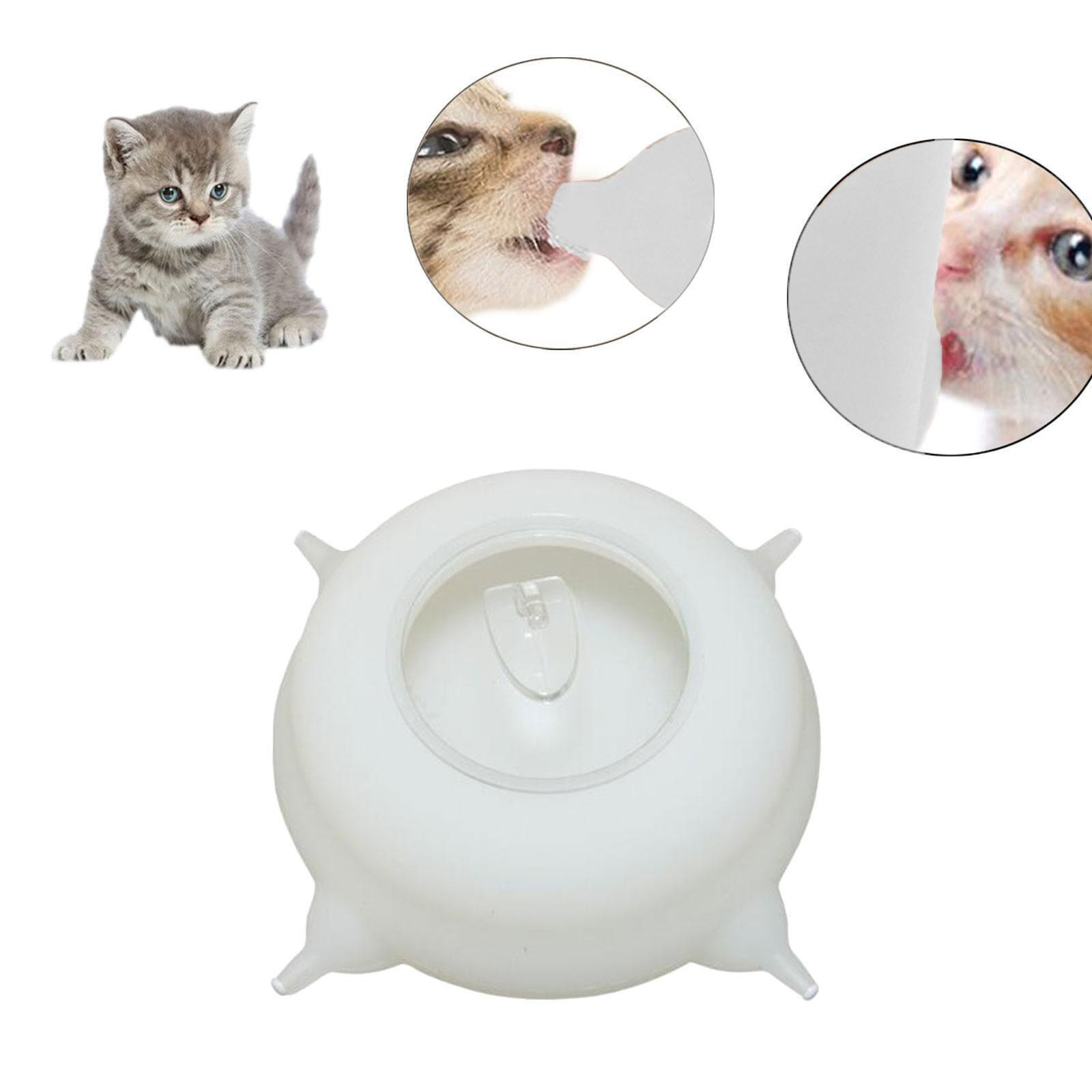 Kitten Pup Nursing Milk Bowl Image 5