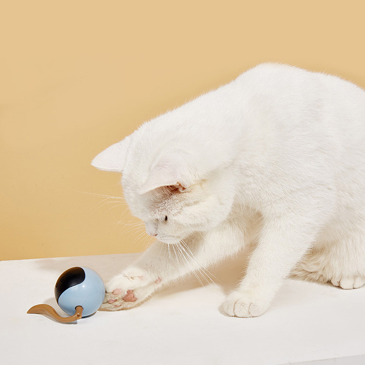 Interactive Rolling Cat Ball Toy