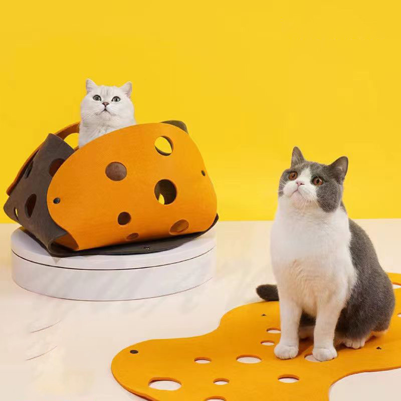 Cat tunnel with a playful kitten inside