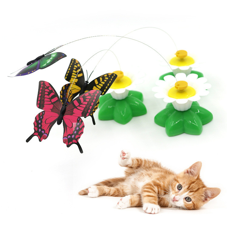 Interactive cat toy close-up