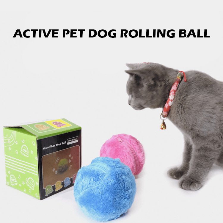 Active Rolling Ball Image 1