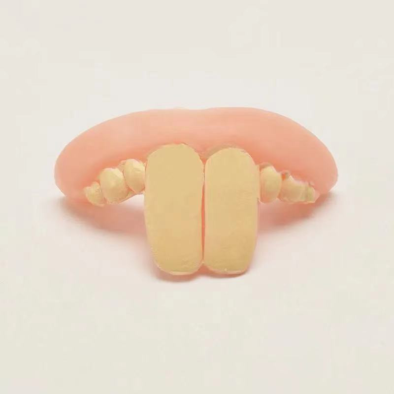 Pet Wearing Denture - Side View