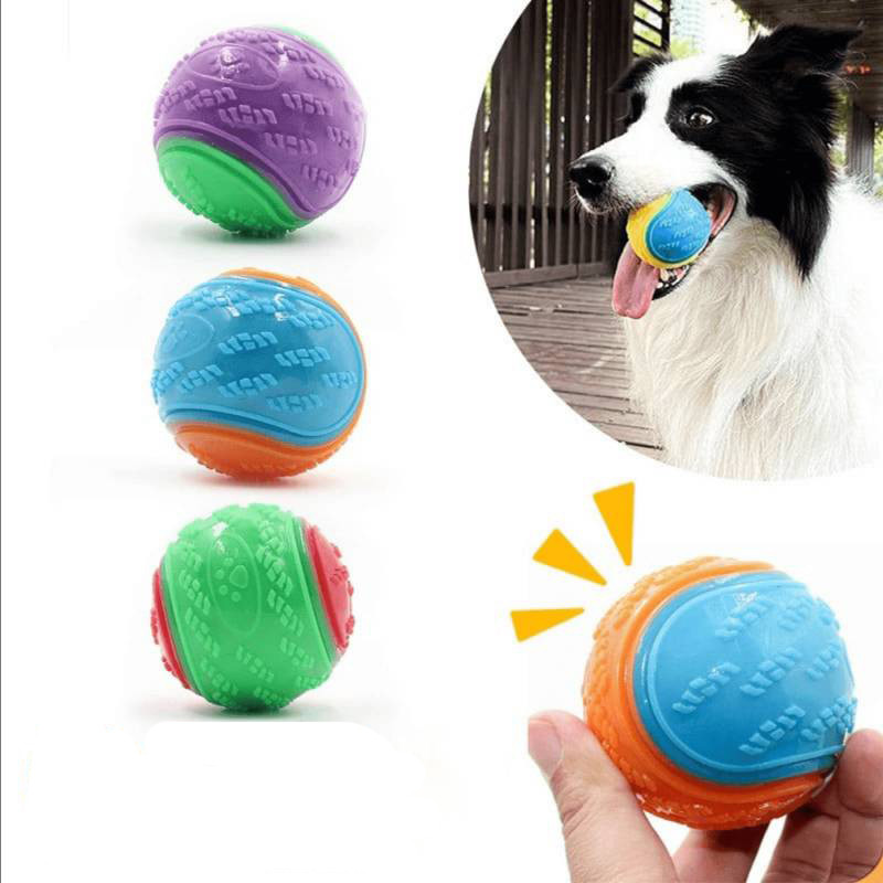 TPR Dog Ball Toy Front View