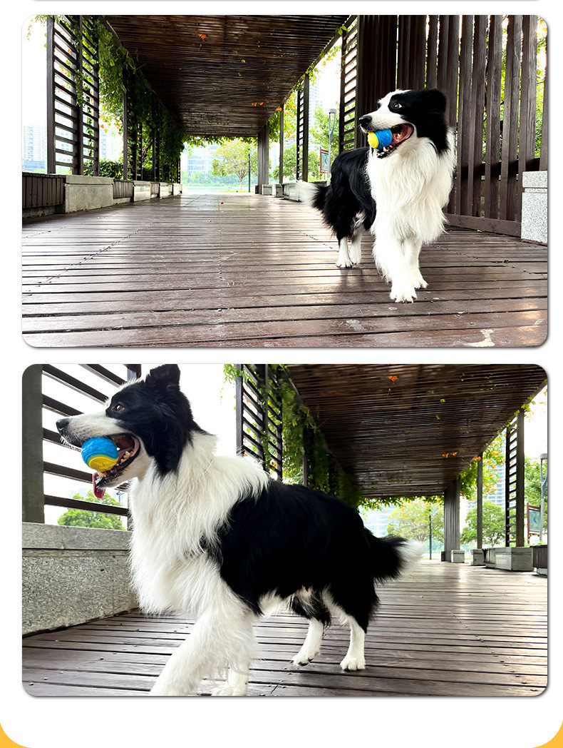 TPR Dog Ball Product Showcase