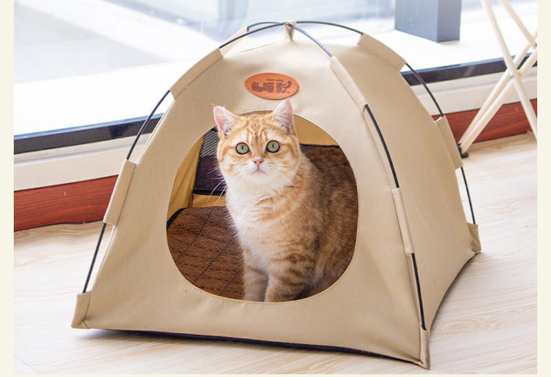 Compact folded pet tent for travel