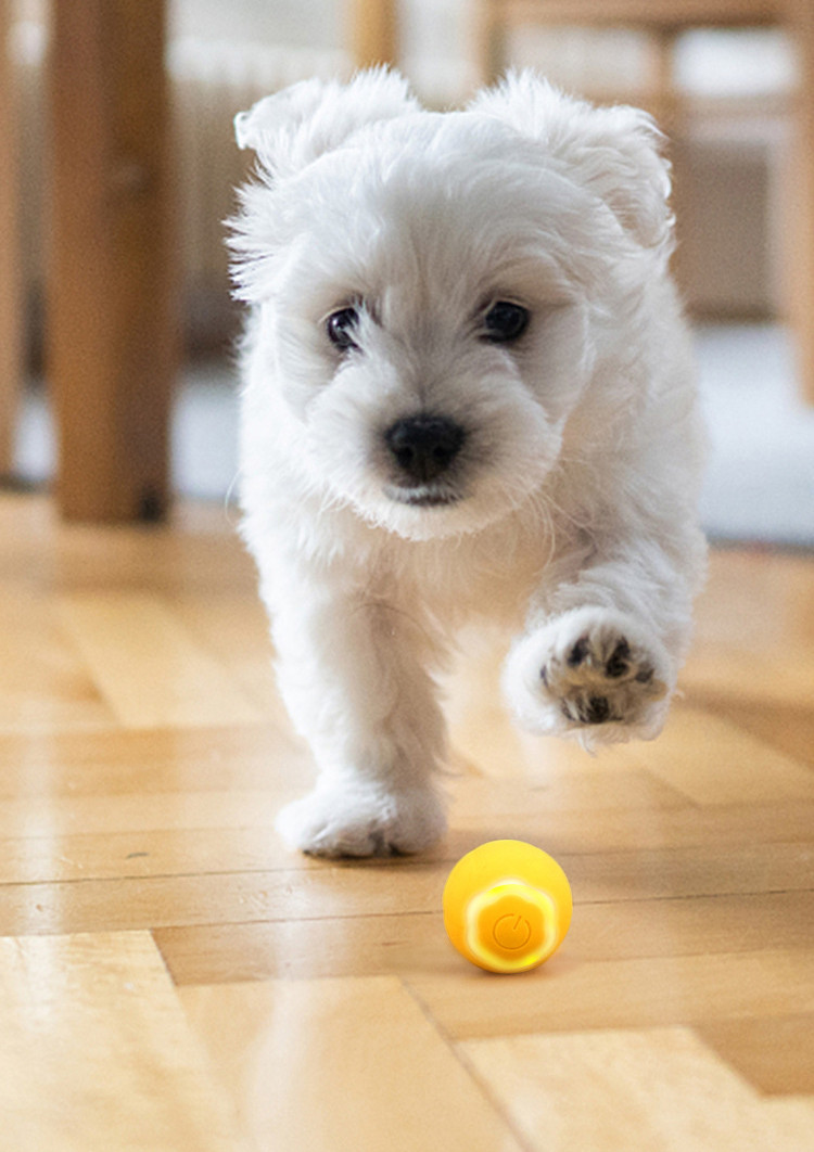 Smart Pet Ball Image 2
