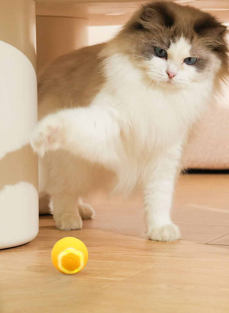 Smart Pet Ball Image 4