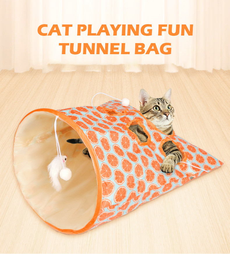 Cat Tunnel Image 1
