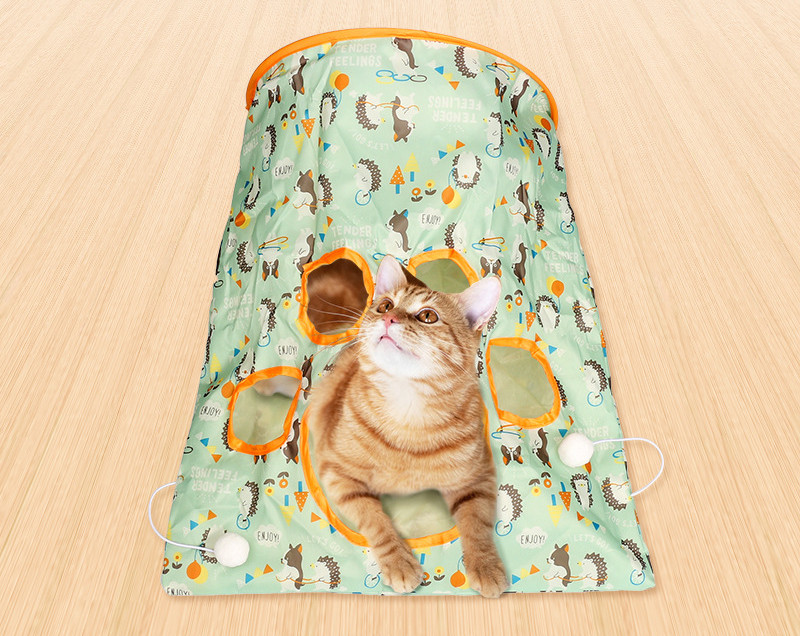 Cat Tunnel Image 3