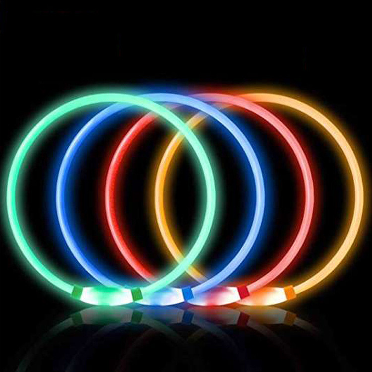 Luminous Pet Collar Close-up